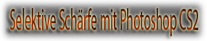 Schaltter-Selektive schärfe