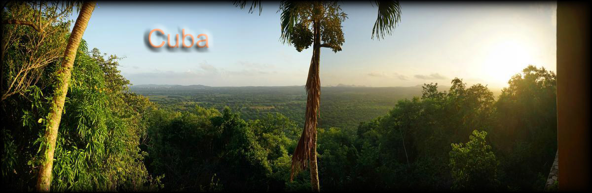 Holguin 1