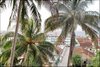 004 Baracoa