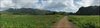 077 Vinales