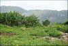 087 Vinales