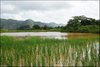 095 Vinales
