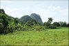 113 Vinales