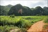 091 Vinales