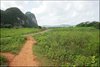 086 Vinales