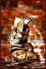 shoe fashion