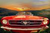 Mustang 64