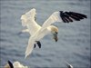 074 Helgoland
