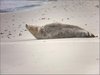 093 Helgoland