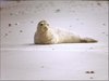 090 Helgoland