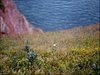 042 Helgoland