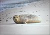 096 Helgoland