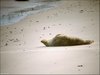 089 Helgoland