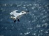 158 Helgoland