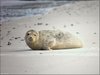 097 Helgoland