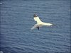 064 Helgoland