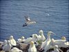 055 Helgoland