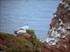 046 Helgoland