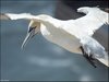 150 Helgoland
