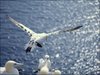 063 Helgoland