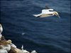 168 Helgoland