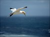 178 Helgoland