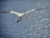 061 Helgoland