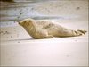 092 Helgoland