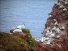 047 Helgoland