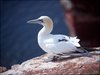 058 Helgoland