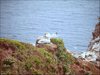 048 Helgoland