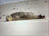 094 Helgoland