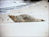 095 Helgoland