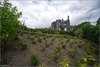 0619-Irland August-2018