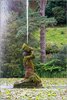 0837-Irland August-2018
