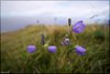 0154-Irland August-2018