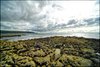 0091-Irland August-2018