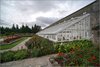 0810-Irland August-2018