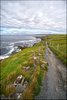0190-Irland August-2018