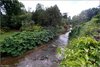 0613-Irland August-2018
