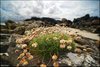 0452-Irland August-2018