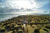 0095-Irland August-2018