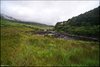 0316-Irland August-2018