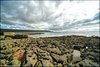 0090-Irland August-2018