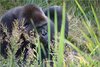 0998-Irland August-2018