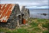 0295-Irland August-2018