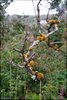 0263-Irland August-2018