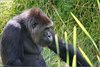 0999-Irland August-2018