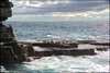 0077-Irland August-2018