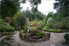 0833-Irland August-2018
